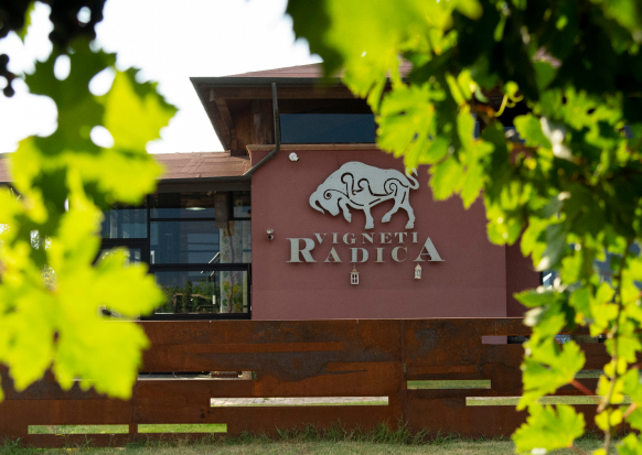 20 NOVEMBRE 2025 DEGUSTAZIONE VINI IN ABBINAMENTO AL CIBO